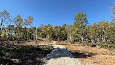 0 E Mineral-Koleen Rd unit LotWP001 21731527, Owensburg, IN 47453 - photo 4