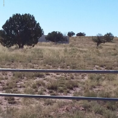 carrizo.317