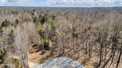2-web-or-mls-DJI_20250310151228