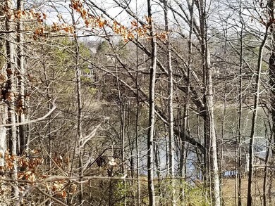 Winter lakeview