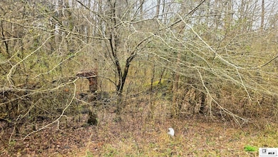 0 Highway 80 unit 213443, West Monroe, LA 71291 - photo 5