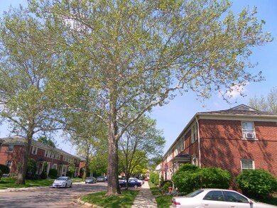 View Of Area
