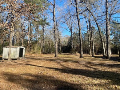 181 County Road 3800, Cleveland, TX 77328 - photo 3