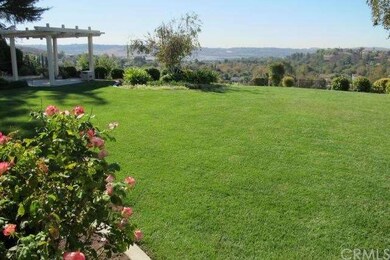 Back yard/view- from outside family room/patio-gro