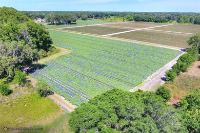 5625 Stafford Rd, Plant City, FL 33565 - photo 5