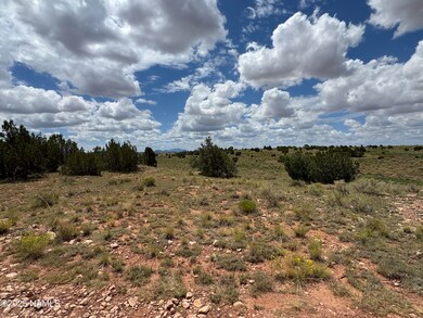 2794 E Redwood Ln unit 101, Williams, AZ 86046 - photo 6