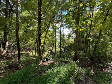 0 68 & 70 Evergreen Dr unit 701184, Schuylkill, PA 18252 - photo 2