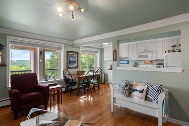 227 Dewey Ave unit 205, Fontana, WI 53125 - photo 5