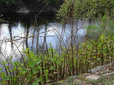 59 Hooper St, Keene, NH 03431 - photo 3