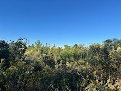 000 Homer Cooper Rd, Marshall, TX 75672 - photo 2