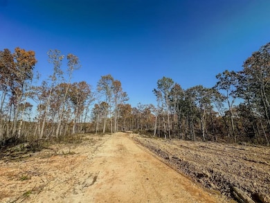 0 Firetower Rd unit 5, Centerville, TN 37033 - photo 6