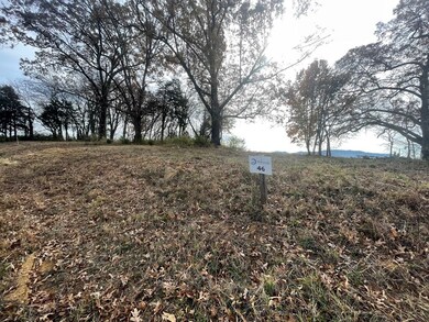 0 Quiet Cove Way Lot 46, Dandridge, TN 37725 - photo 5