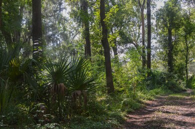 6572 Lenox Ave, Jacksonville, FL 32205 - photo 6