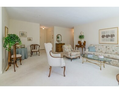 Hammond Park Condominiums unit 204, Chestnut Hill, MA 02467 - photo 5