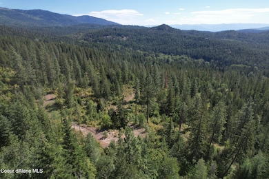 2500 Carr Creek Rd, Sandpoint, ID 83864 - photo 2