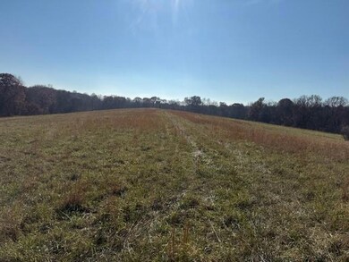 0 NE Mt Olivet Rd unit HMS2588486, Smithville, MO 64089 - photo 3