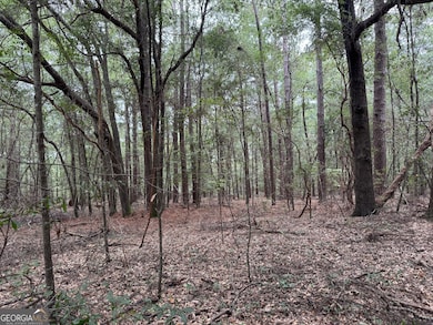 0 Glen Dr unit 10611123, East Dublin, GA 31027 - photo 6