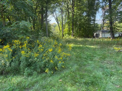 VL Carol St, Newaygo, MI 49337 - photo 3