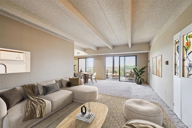 Candlewyck Condominiums unit 1504, Denver, CO 80247 - photo 2