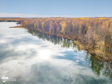 10465 N Little Lonely Lake Rd, Willow, AK 99688 - photo 7