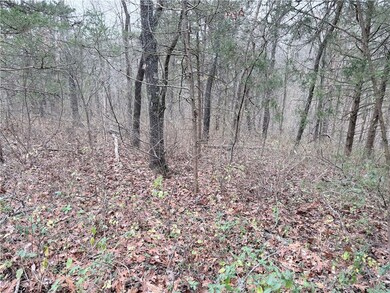 0 Baston Ln unit 1330569, Bella Vista, AR 72715 - photo 2