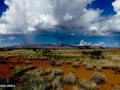 TBD N Ee Ranch Lot 4 Rd unit 4, McNeal, AZ 85617 - photo 7