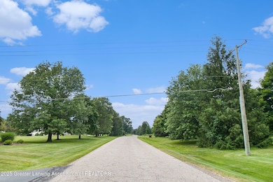 4350 Fruitbelt Ln, Williamston, MI 48895 - photo 7