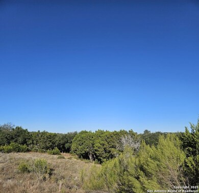 2385 Comal Springs, Canyon Lake, TX 78133 - photo 4