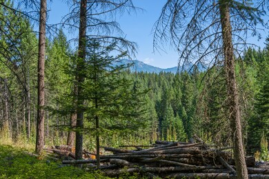 283 Belterra Ln, Big Fork, MT 59911 - photo 2