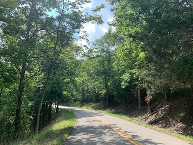 0 Cooksey Fork, Blaine, KY 41124 - photo 2