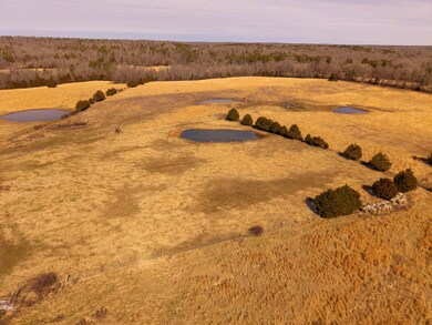 Farmhouse and 82 Acres for Sale6