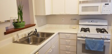 Kitchen1