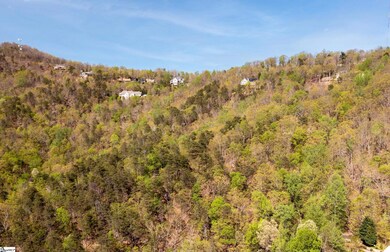 0 Laurel Ridge Rd unit Part lot 5/6, Greenville, SC 29609 - photo 4