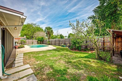 Back yard