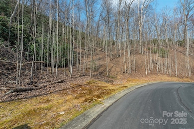 0 Shining Rock Path unit 12 CAR4243667, Horse Shoe, NC 28742 - photo 5