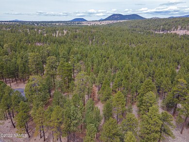 6100 Belle Springs 6