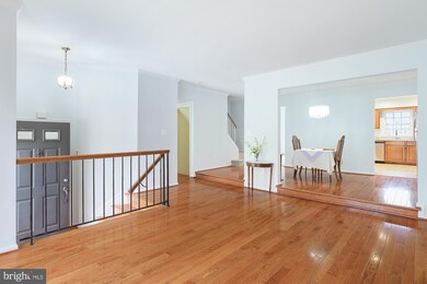 6800 Earthstar Ct, Springfield, VA 22152 - photo 6