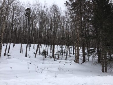 Lot 42-43 Daniel Beard Rd, Pittsburg, NH 03592 - photo 2