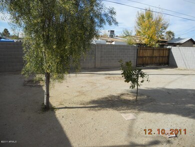 BACK YARD