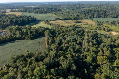 1196 Hoot Rd, Spencer, IN 47460 - photo 6