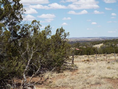 NW Corner