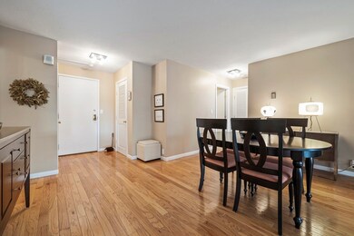 Imperial Towers unit 313, Chestnut Hill, MA 02467 - photo 6