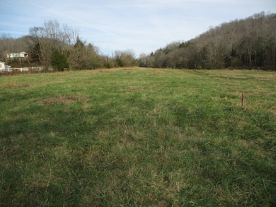 508 Rogues Fork Rd, Bethpage, TN 37022 - photo 2