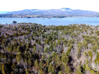 0 Winaukee Rd, Moultonborough, NH 03254 - photo 6