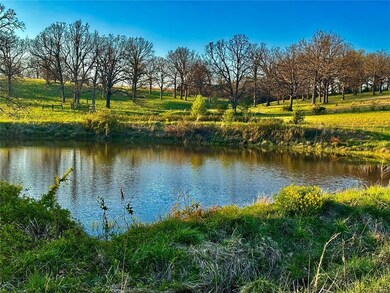 Pond