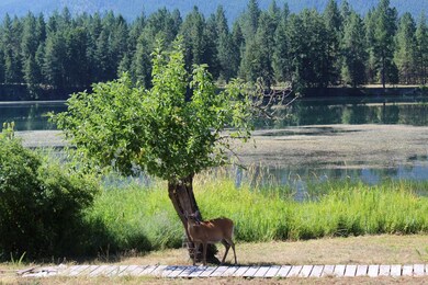 IMG_1505