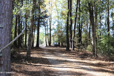 2108 Joel Lang Rd, McComb, MS 39648 - photo 5