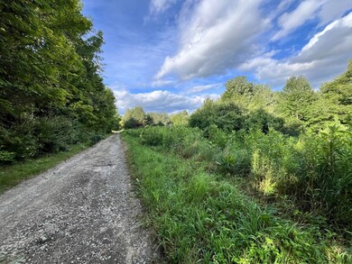 0 Greenbush Rd unit Held - 12 11557762, Erin, NY 14838 - photo 5