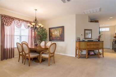 9749 Jasmine Brook Cir, Land O Lakes, FL 34638 - photo 7