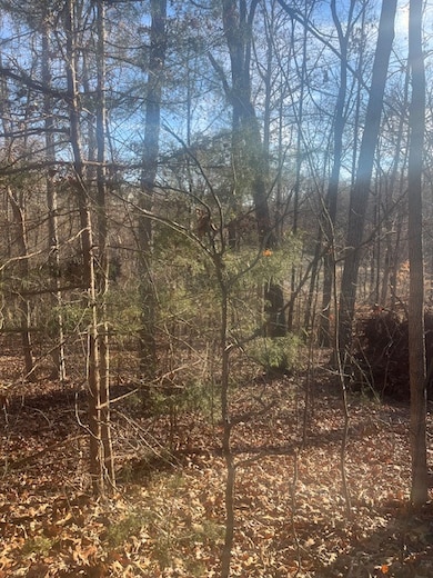 109 Falls Dr, Chickasaw Point, SC 29693 - photo 3